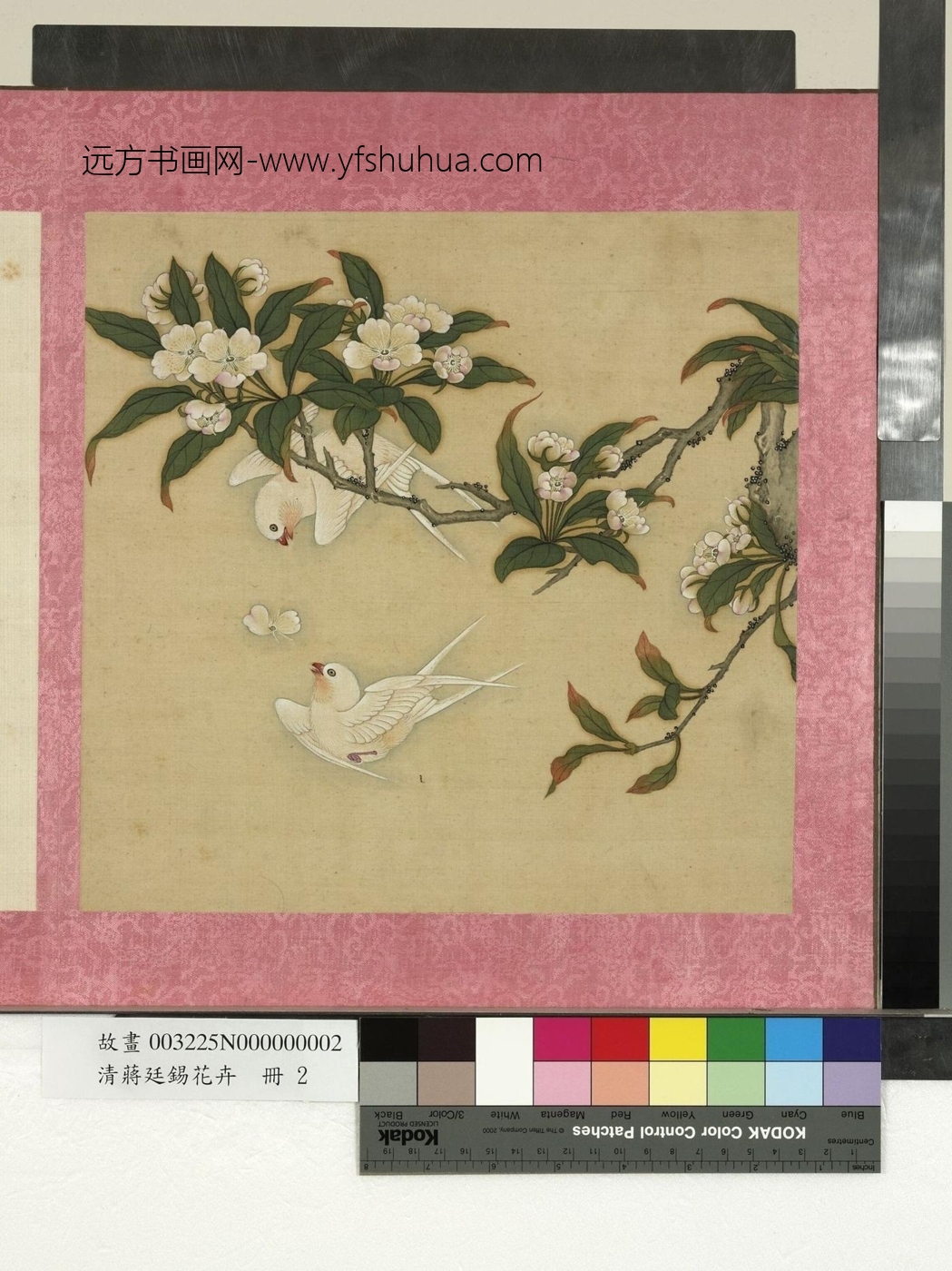 清_蒋廷锡_花卉册　桃花双燕_0